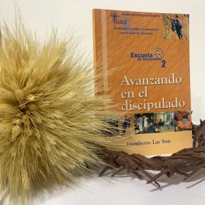 📗 Discipulado 2: Avanzando en el discipulado — Pr. Humberto Lay