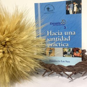 📗 Discipulado 3: Hacia una vida útil para Dios — Pr. Humberto Lay